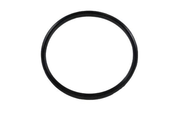 155 Pump Seal