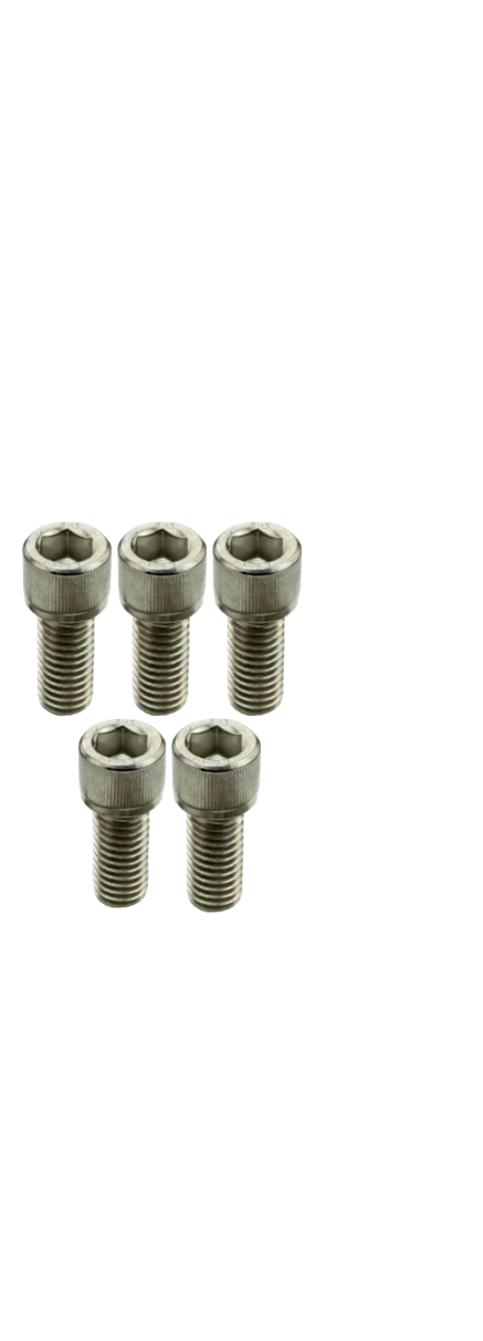Strap Clip Bolt